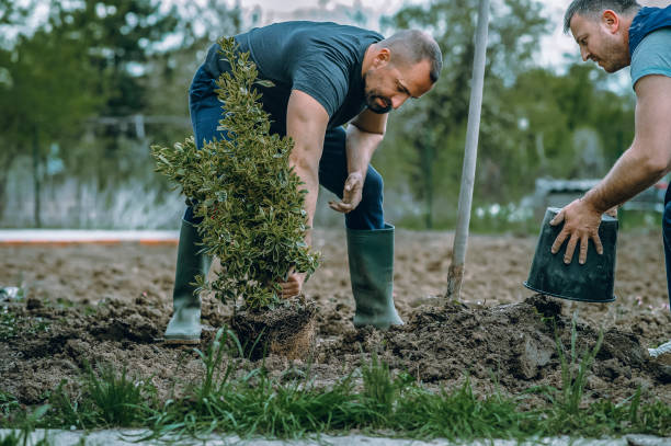 Best Lawn Fertilization  in Hockinson, WA